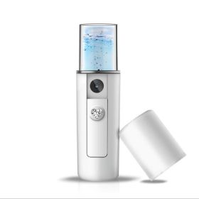Portable Mini USB Facial Spray Beauty Instrument (Option: default)