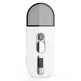 Nano Spray Moisturizer Steaming Face Spray (Color: White)