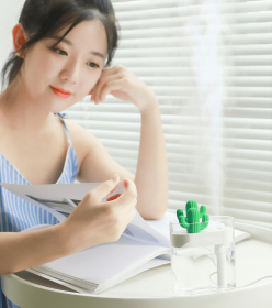 Transparent Cactus Humidifier (Option: default)
